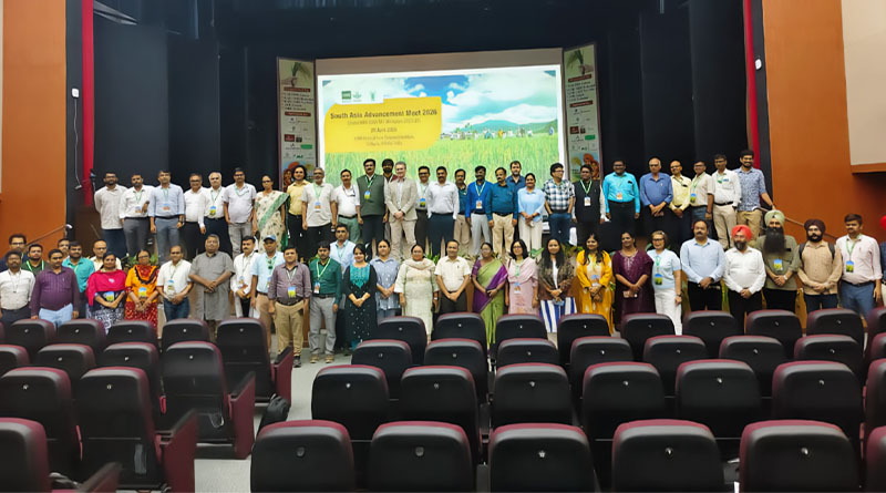 South Asia Races To Future-proof Rice As Climate Pressure Mounts