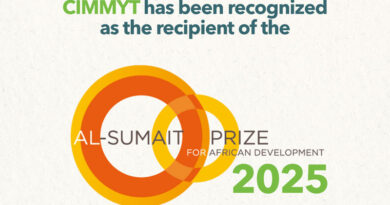 CIMMYT Receives 2025 Al-Sumait Prize for African Development, Recognizing Decades of Science for Food Security