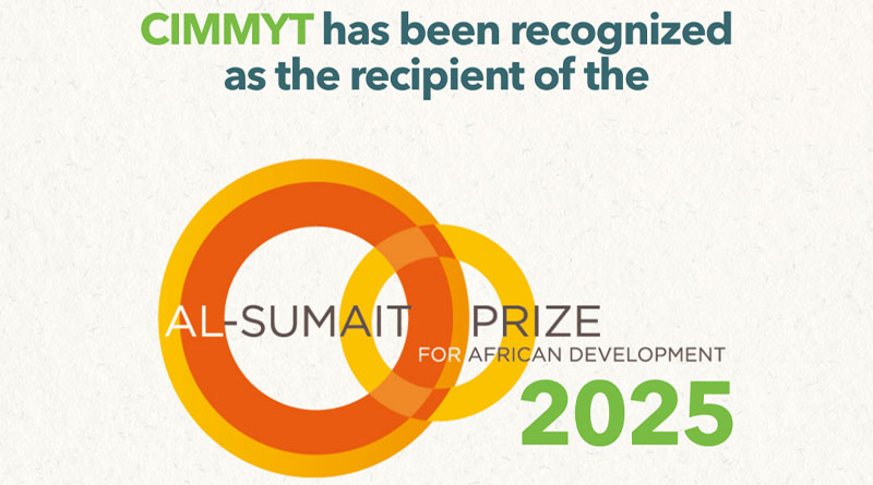 CIMMYT Receives 2025 Al-Sumait Prize for African Development, Recognizing Decades of Science for Food Security
