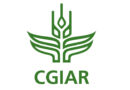 Plant Health for Food Security - ICRISAT’s Integrated Approach to Grain Legume Disease Management