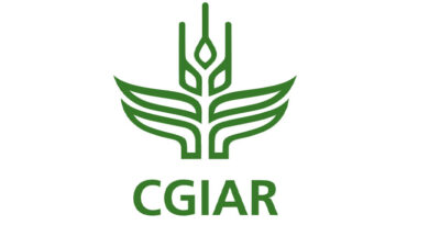 Plant Health for Food Security - ICRISAT’s Integrated Approach to Grain Legume Disease Management