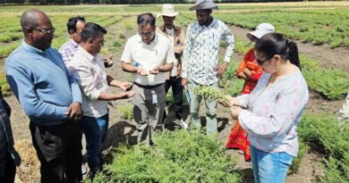 Plant Health for Food Security: ICRISAT’s Integrated Approach to Grain Legume Disease Management
