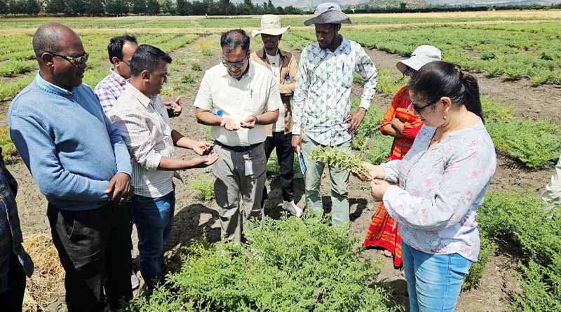 Plant Health for Food Security: ICRISAT’s Integrated Approach to Grain Legume Disease Management