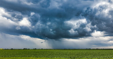 India’s 2026 Monsoon Forecast at 92%: Irrigation Gains to Buffer Output, Rainfed Risks Persist India’s 2026 Monsoon Forecast at 92%: Irrigation Gains to Buffer Output, Rainfed Risks Persist