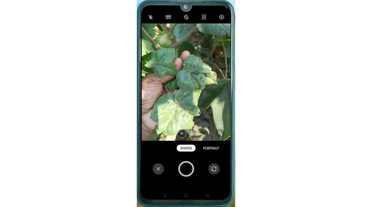 ITC Highlights AI-Based Crop Advisory Platform on International Day of Plant Health