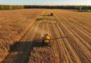 Agricultural Output in OECD Countries Rises Over 30% Since 1990 as Environmental Trends Remain Mixed