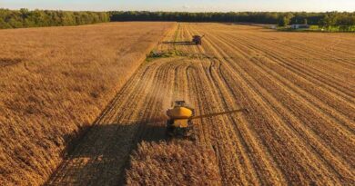 Agricultural Output in OECD Countries Rises Over 30% Since 1990 as Environmental Trends Remain Mixed Agricultural Output in OECD Countries Rises Over 30% Since 1990 as Environmental Trends Remain Mixed