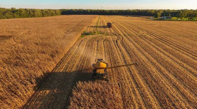 Agricultural Output in OECD Countries Rises Over 30% Since 1990 as Environmental Trends Remain Mixed