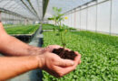 The Proof Is in the Plant: How Biologicals and Biostimulants Reframe Nutrient Management