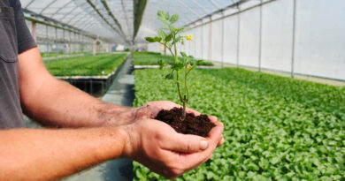 The Proof Is in the Plant: How Biologicals and Biostimulants Reframe Nutrient Management