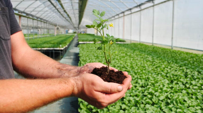 The Proof Is in the Plant: How Biologicals and Biostimulants Reframe Nutrient Management
