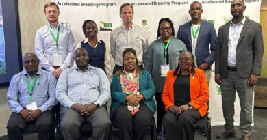 ICRISAT and CIMMYT Launch New Initiative to Fast-Track Climate-Resilient Crops for Dryland Farmers in Africa and India