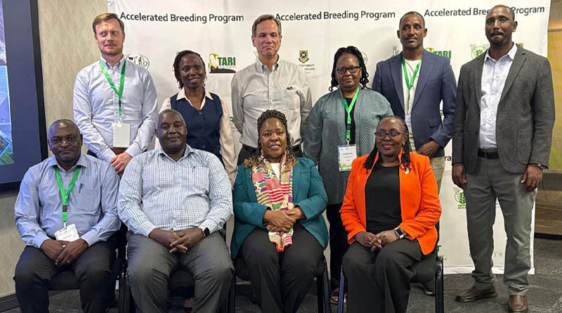 ICRISAT and CIMMYT Launch New Initiative to Fast-Track Climate-Resilient Crops for Dryland Farmers in Africa and India