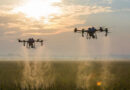 EU Pesticide Sales Rise 8% in 2024; Fungicides and Bactericides Account for 40% of Total Volume