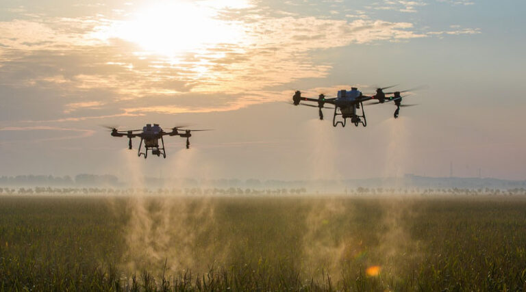 EU Pesticide Sales Rise 8% in 2024; Fungicides and Bactericides Account for 40% of Total Volume