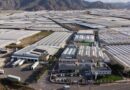 Syngenta Opens $10 Million R&D Center in Spain to Reduce Vegetable Seed Breeding Timelines