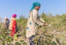 Why Are Farmers Not Adopting Technology in India?