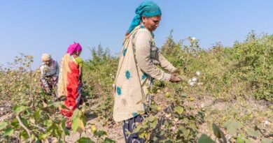 Why Are Farmers Not Adopting Technology in India?