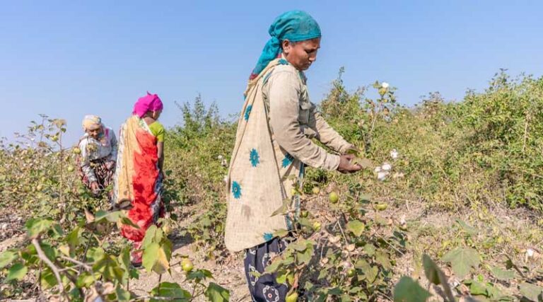 Why Are Farmers Not Adopting Technology in India?