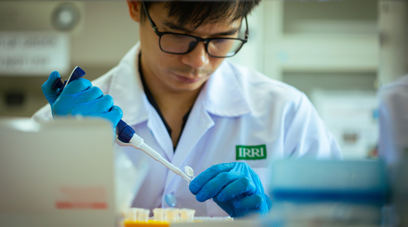 IRRI Strengthens Nearly a Decade of Stewardship Excellence with Dual Global Certifications