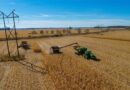 Australia Secures Strategic Urea Reserves Amid Middle East Supply Chain Disruptions