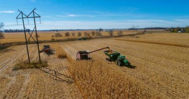 Australia Secures Strategic Urea Reserves Amid Middle East Supply Chain Disruptions Australia Secures Strategic Urea Reserves Amid Middle East Supply Chain Disruptions