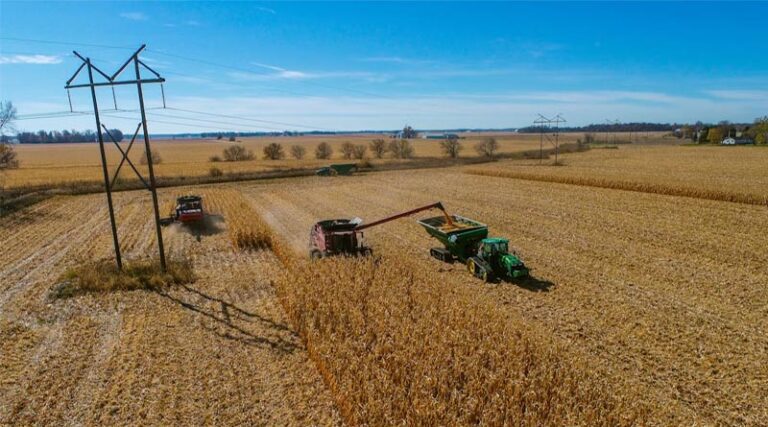 Australia Secures Strategic Urea Reserves Amid Middle East Supply Chain Disruptions