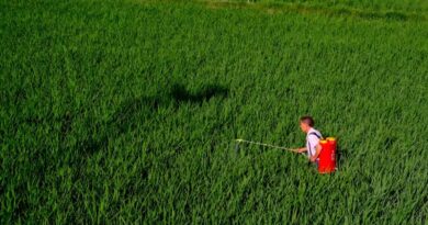 China’s Fertilizer Trade Sees Strong Export Growth in Jan–April 2026, Potash Imports Remain Critical