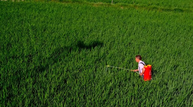 China’s Fertilizer Trade Sees Strong Export Growth in Jan–April 2026, Potash Imports Remain Critical