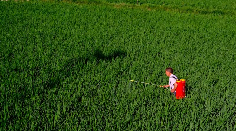 China’s Fertilizer Trade Sees Strong Export Growth in Jan–April 2026, Potash Imports Remain Critical