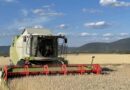 Top 10 Technologies Revolutionizing Modern Farming