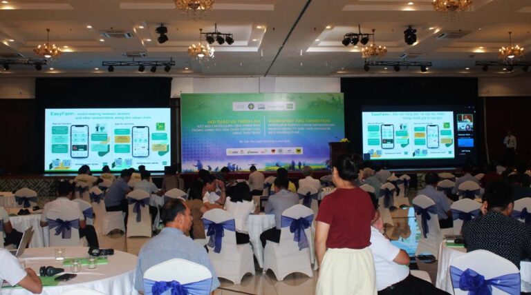 New Fertilizer Supply Chain Network Formed to Support Vietnam's 1-Million-Hectare Rice Program