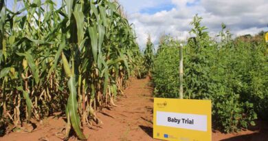 Testing, Trust, And Scale: How Partnerships Strengthen Farmer-led Change