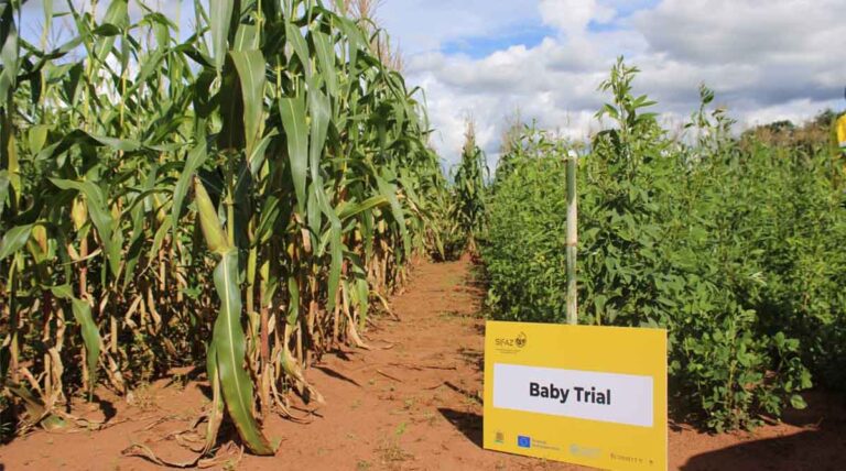 Testing, Trust, And Scale: How Partnerships Strengthen Farmer-led Change