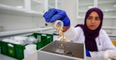 ICARDA’s Seed Legacy - From the Cradle of Agriculture to a Nobel-nominated Arctic Vault ICARDA’s Seed Legacy - From the Cradle of Agriculture to a Nobel-nominated Arctic Vault