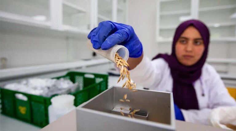 ICARDA’s Seed Legacy - From the Cradle of Agriculture to a Nobel-nominated Arctic Vault