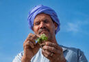 Climate-Smart Agriculture in Fragile Regions: What Drives Adoption?