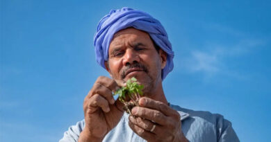Climate-Smart Agriculture in Fragile Regions: What Drives Adoption?