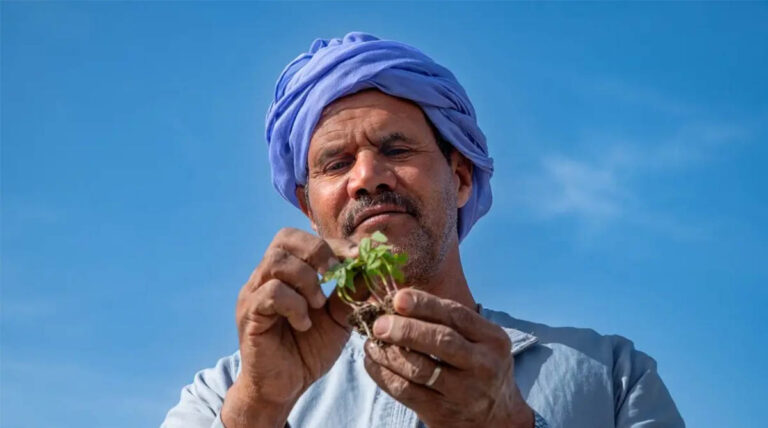 Climate-Smart Agriculture in Fragile Regions: What Drives Adoption?