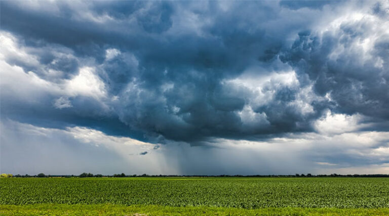 India’s 2026 Monsoon Forecast at 92%: Irrigation Gains to Buffer Output, Rainfed Risks Persist