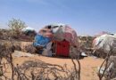 How Somalia’s Diaspora is Strengthening Climate and Conflict Resilience