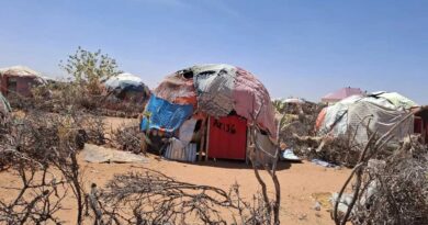 How Somalia’s Diaspora is Strengthening Climate and Conflict Resilience