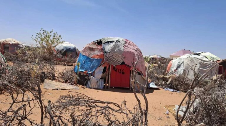 How Somalia’s Diaspora is Strengthening Climate and Conflict Resilience