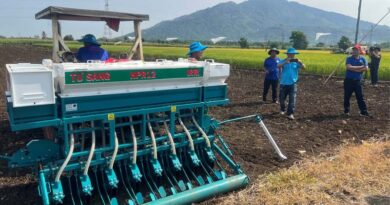 New Rice Sowing Technology Shows Promise For Low-emission Farming In Vietnam