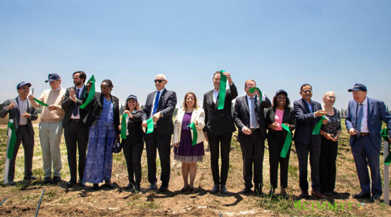 IFDC Opens Office at CIMMYT Headquarters, The Next Step Toward a New Innovation Platform for Mexico and Central America