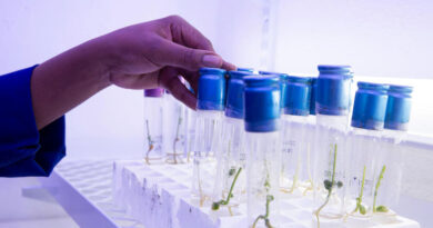 FAO Unveils New Data Domain Tracking Agricultural Research And Development Trends