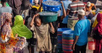 Nutrition-Sensitive Trade: What Zanzibar’s Dagaa Fishery Reveals About Food and Nutrition Security