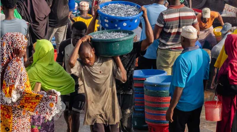 Nutrition-Sensitive Trade: What Zanzibar’s Dagaa Fishery Reveals About Food and Nutrition Security
