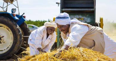 Risk of Famine Persists as Nearly 19.5 Million People Face Acute Food Insecurity In Sudan