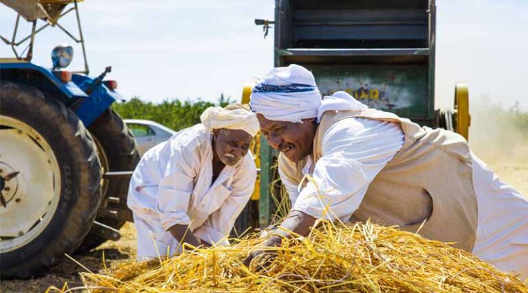 Risk of Famine Persists as Nearly 19.5 Million People Face Acute Food Insecurity In Sudan